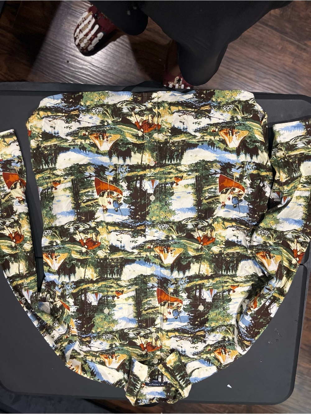 Casual Button-Down Shirt in Multi-Color Scenic Print
